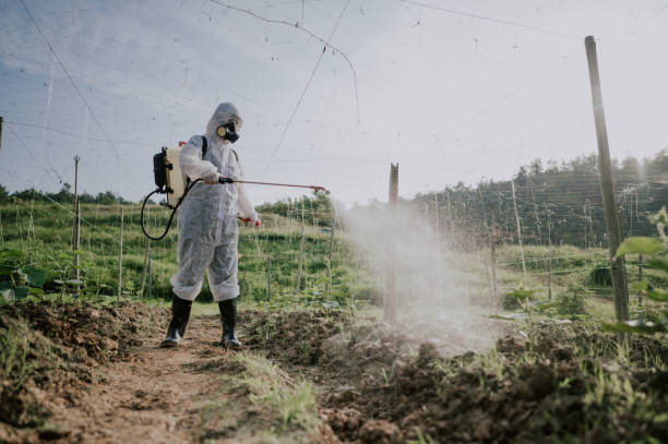 Best Ant Control Services  in Martins Ferry, OH
