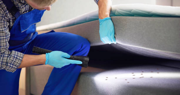 Best Mosquito Control Services  in Martins Ferry, OH