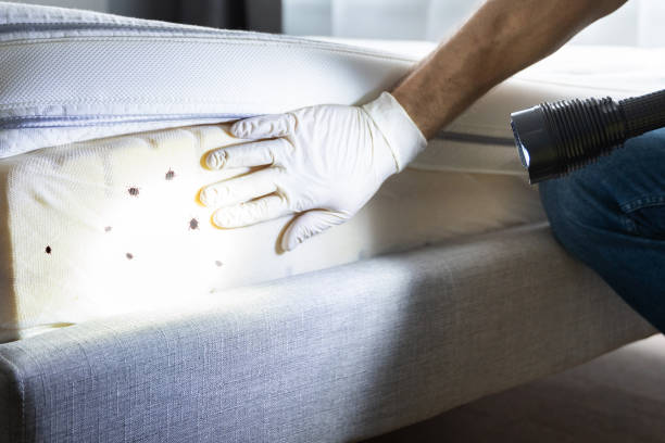 Best Affordable Pest Control Services  in Martins Ferry, OH