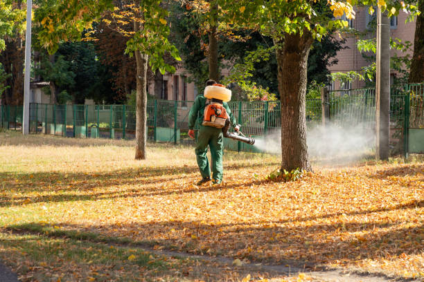 Best Local Pest Control Services  in Martins Ferry, OH