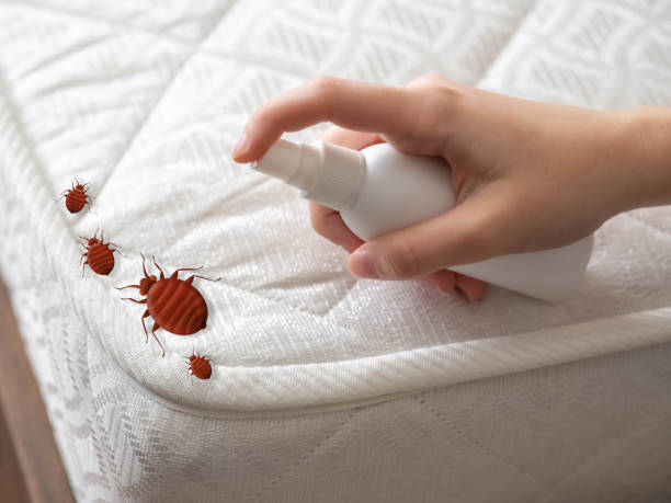 Best Affordable Pest Control Services  in Martins Ferry, OH