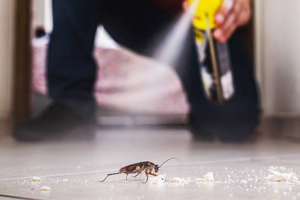 Best Best Pest Control Companies  in Martins Ferry, OH