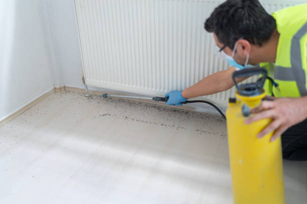 Best Pest Control Treatment  in Martins Ferry, OH