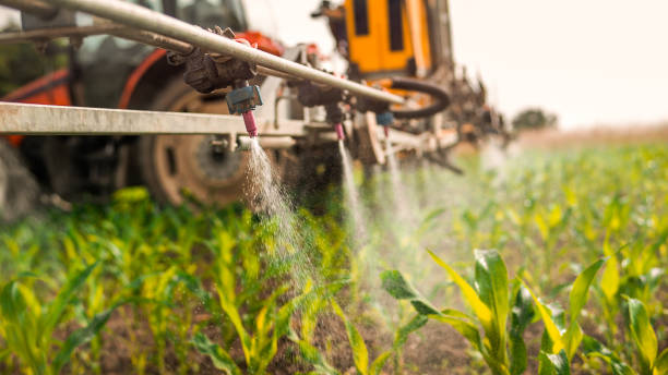 Best Commercial Pest Control Services  in Martins Ferry, OH